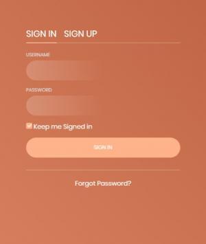 UI设计超炫且带动画特效的登录注册框
