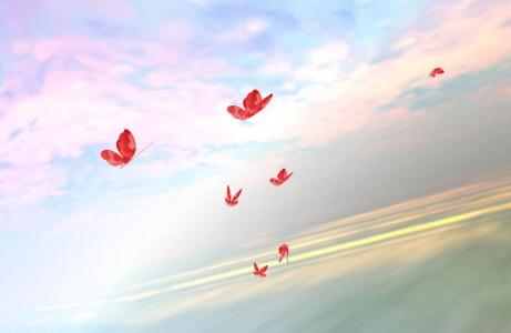 HTML5 SVG 3D蝴蝶天空中翩翩起舞动画