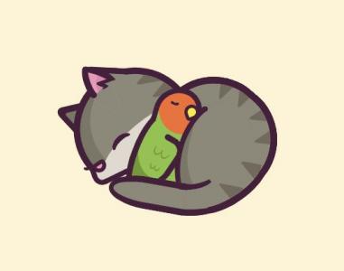 最好的朋友小猫和鹦鹉在一起睡觉