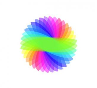 由19种颜色叶片旋转组成圆形图案