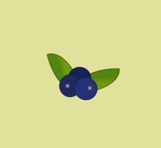 绘画逼真的CSS3水果画像葡萄
