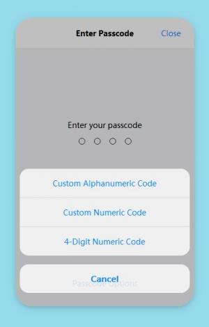 HTML5 iOS密码和密码选项插件代码