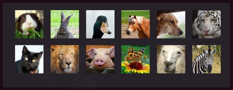 鼠标经过可预览图片的CSS3动画相册