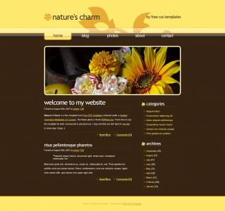 黄色风格色调的个人网站静态模板