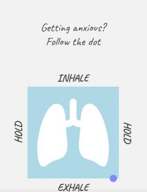 粒子边框轨迹动画模拟肺部呼吸效果
