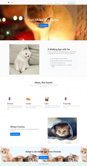 关于小猫HTML5网站静态模板设计