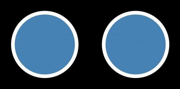 两个含白色边框的SVG圆圈缩放动画