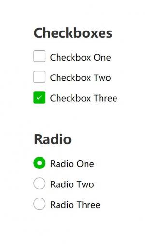 CSS radio单选和checkbox复选框样式