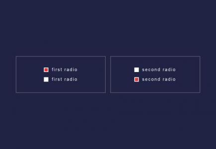 CSS3美化radio单选输入切换效果