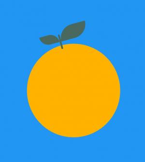 创新设计form表单橙色蓝莓复选框