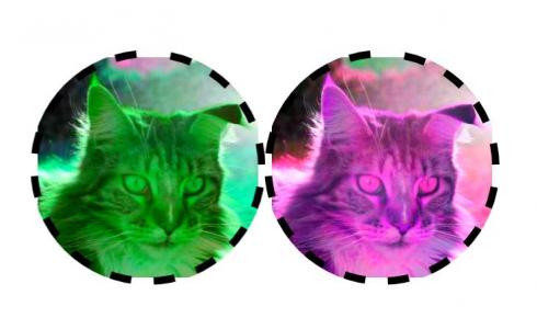 JS代码实现圆形顽皮猫图像重合对比