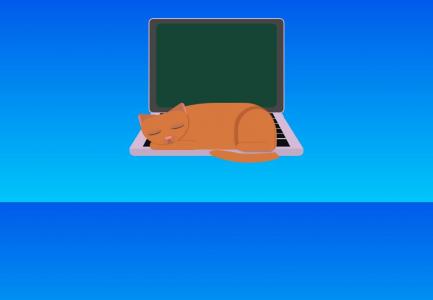 一只可爱猫躺在笔记本电脑上