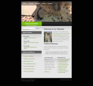 H5设计宣传保护动物类型网站模板