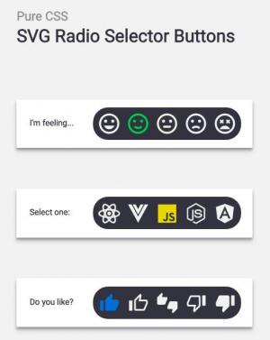 一组很有个性的纯CSS SVG单选按钮