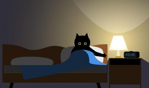 这是一种具有失眠症的黑猫