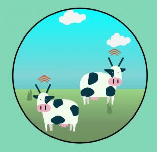 jQuery绘制农村地区奶牛饲养点图像