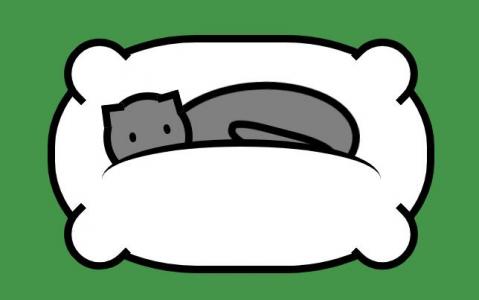 可爱小猫在白色枕头上睡着了