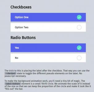 CSS3美化复选框和单选框按钮