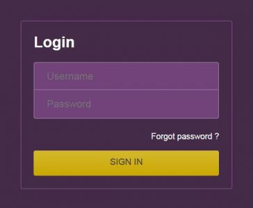 HTML在同一页面上登录并忘记密码