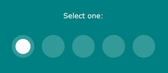 CSS美化只输入单选按钮选择概念