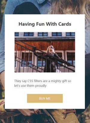 悬停图像模糊缩放的CSS卡片