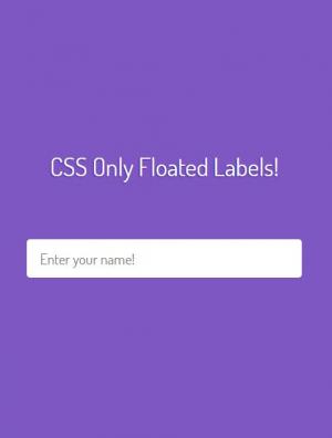 CSS实现input文本框输入标签浮动