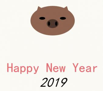 HTML+CSS的2019新年快乐页面