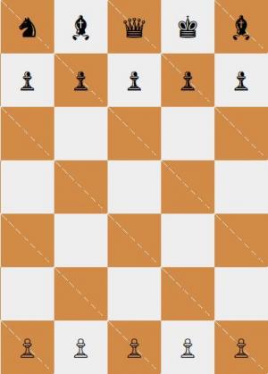 由CSS网格制作的国际象棋画像