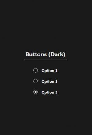 2框黑白设计CSS自定义单选按钮